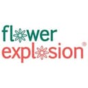 Flower Explosion