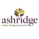 Ashridge Nurseries
