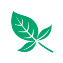 YardistryStructures.com